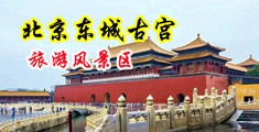 超大鸡巴快点肏死我好爽超紧免费在线观看中国北京-东城古宫旅游风景区